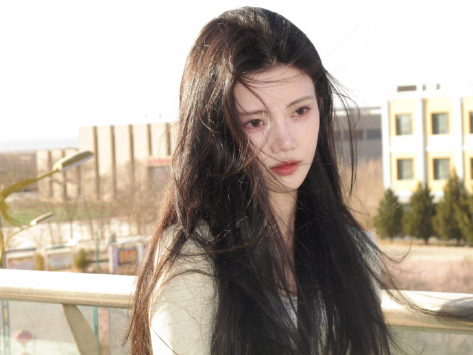 蜘蛛池在自动化站群系统中的角色