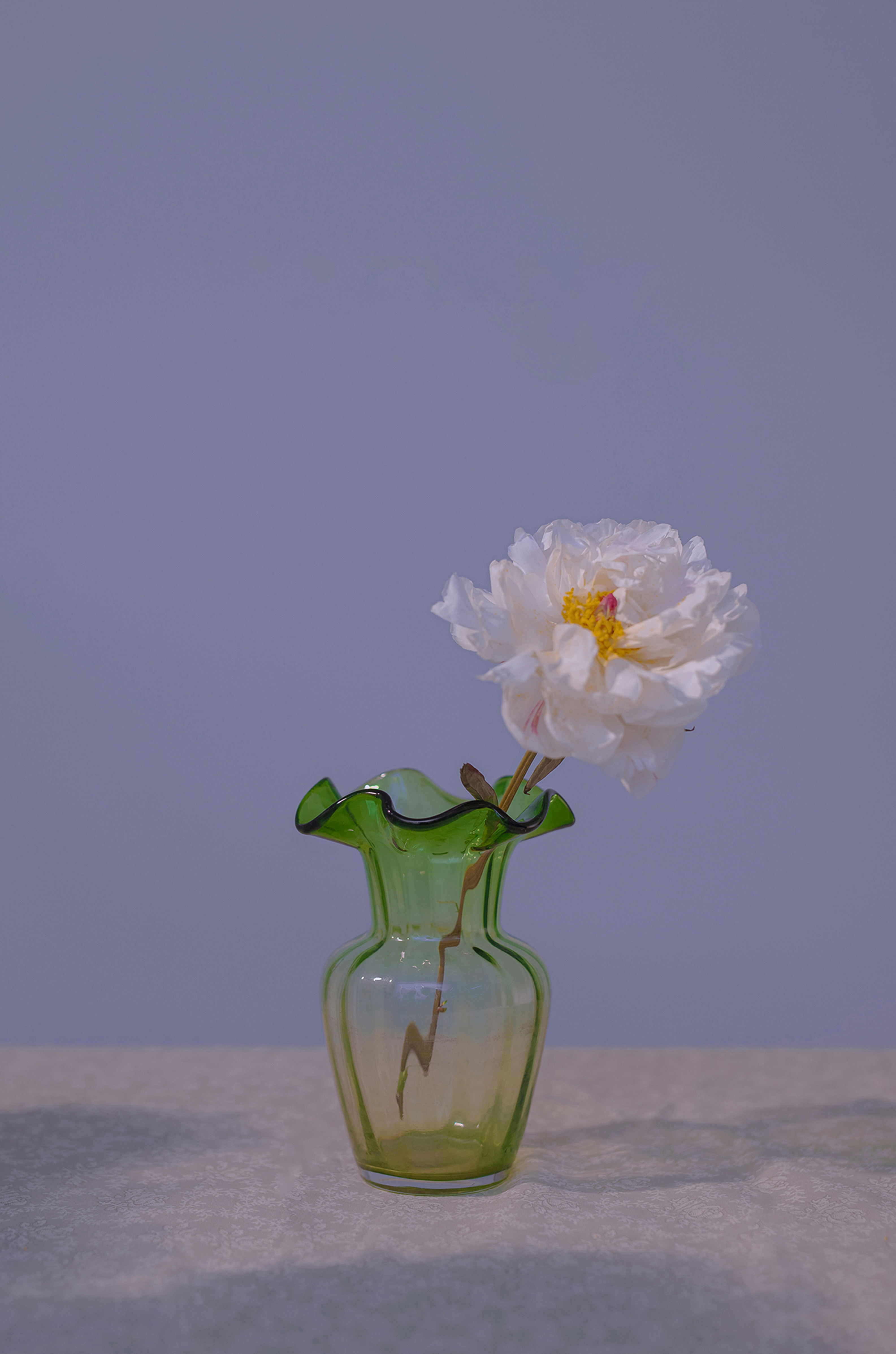 蜘蛛池对外语站点SEO的实战意义