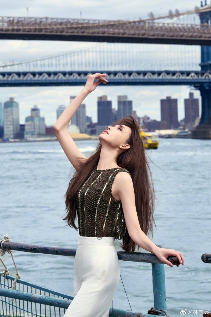 蜘蛛池在泛解析中的实战价值