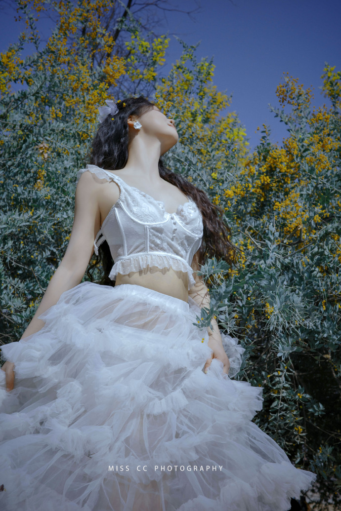 蜘蛛池与伪原创技术的协同应用