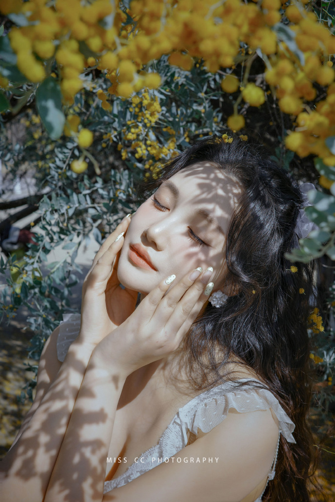 蜘蛛池在自动化站群系统中的角色