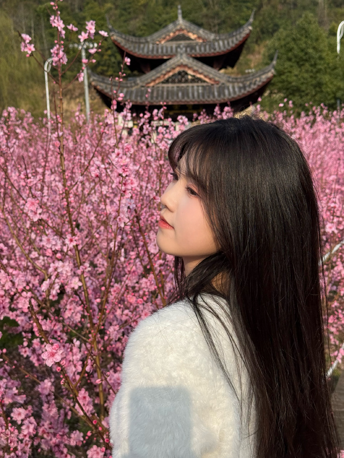 蜘蛛池在泛解析中的实战价值