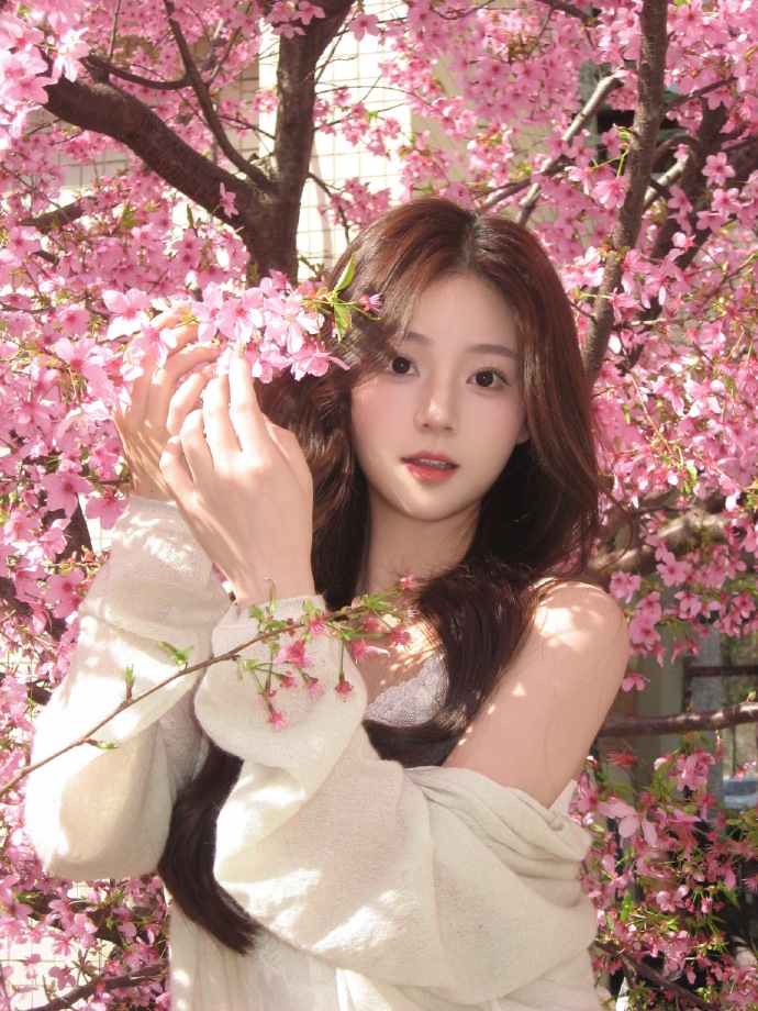 快速构建蜘蛛池的五个步骤