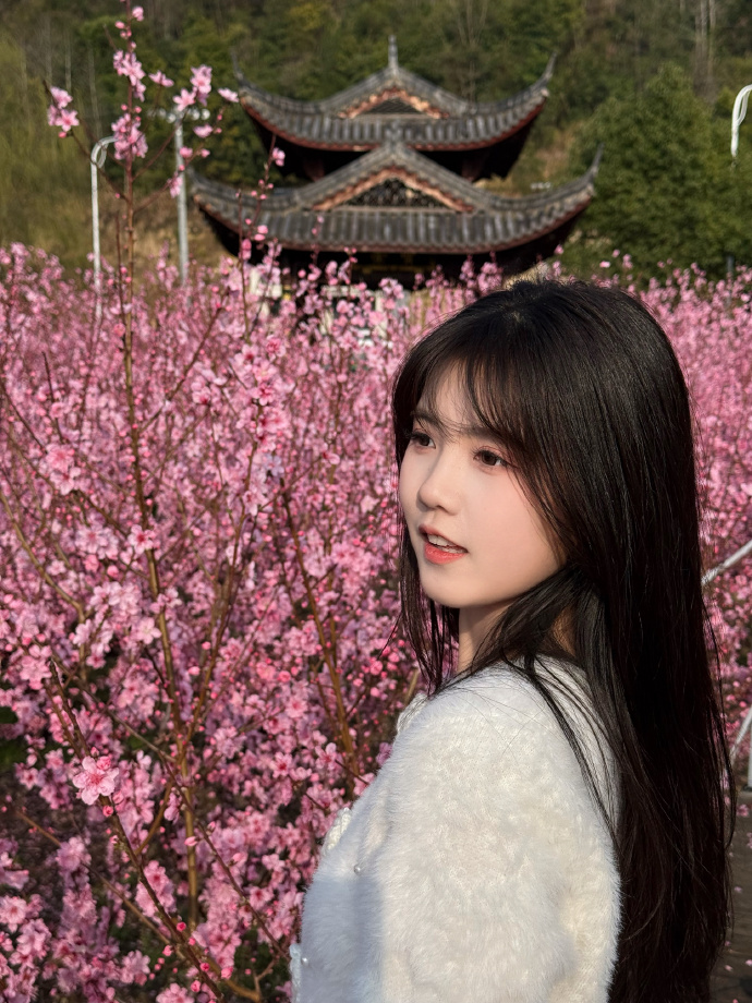 蜘蛛池如何提升内容页参与排名的可能性