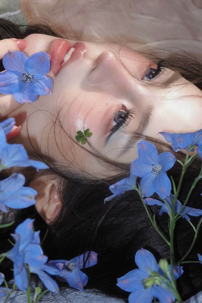 快速构建蜘蛛池的五个步骤