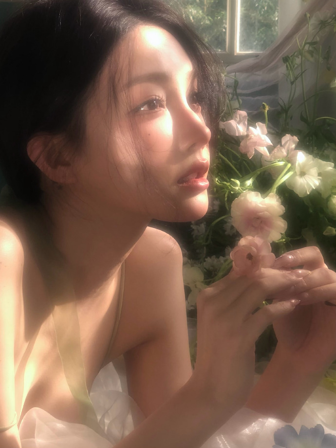 蜘蛛池在自动化站群系统中的角色