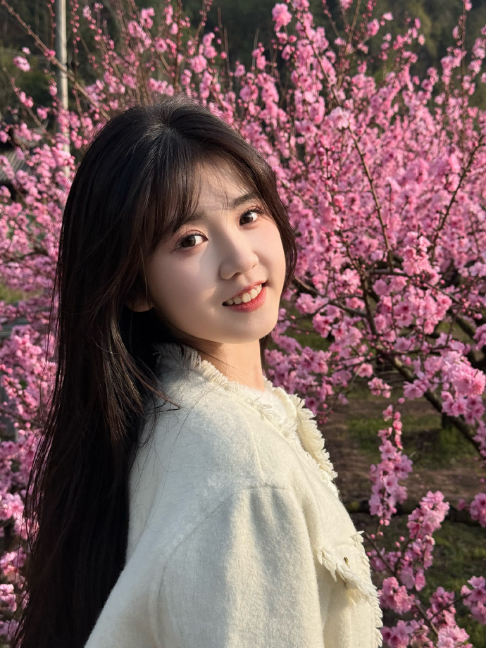 蜘蛛池如何配合内链策略？