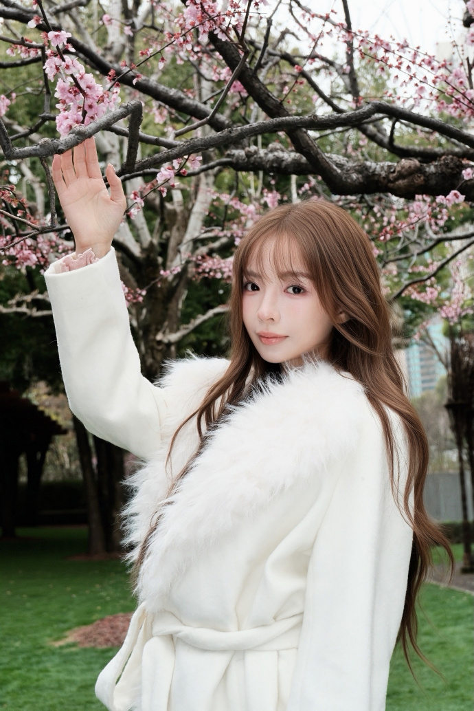 蜘蛛池和Schema结构化数据的配合