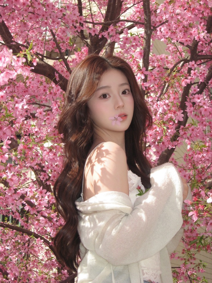 蜘蛛池的分布式架构实现方案