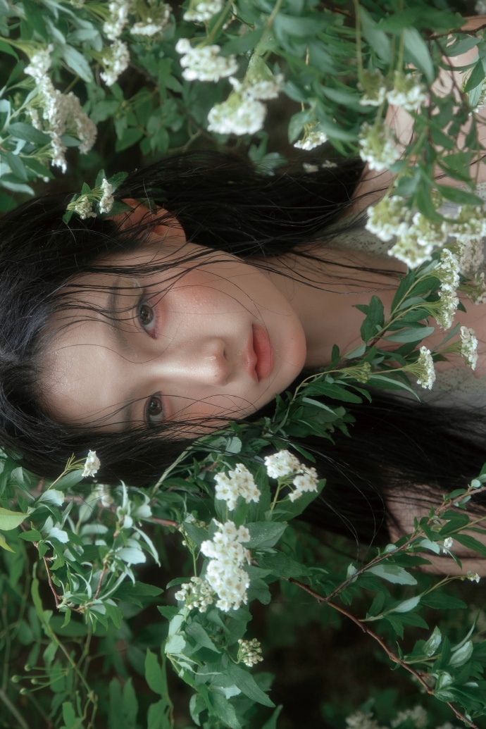 蜘蛛池中的IP地址轮换策略