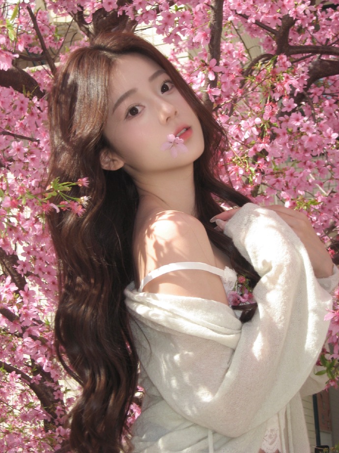 蜘蛛池如何配合内链策略？