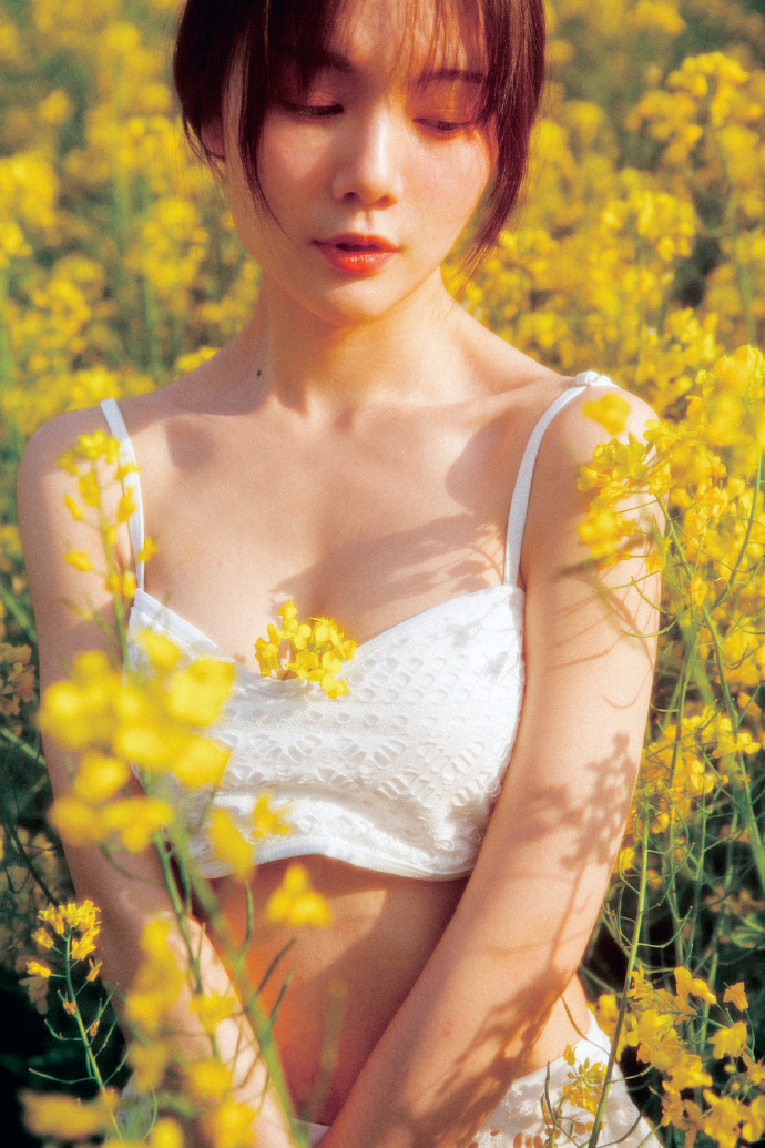 蜘蛛池的分布式架构实现方案