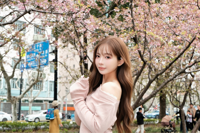 蜘蛛池与网站架构优化的配合