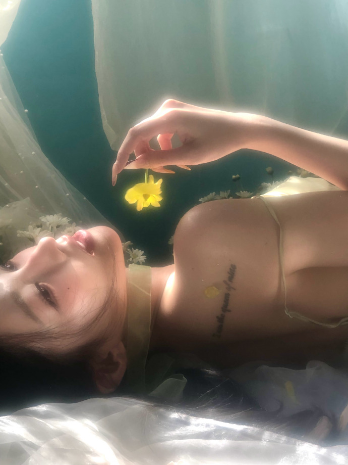 蜘蛛池访问日志的深度分析