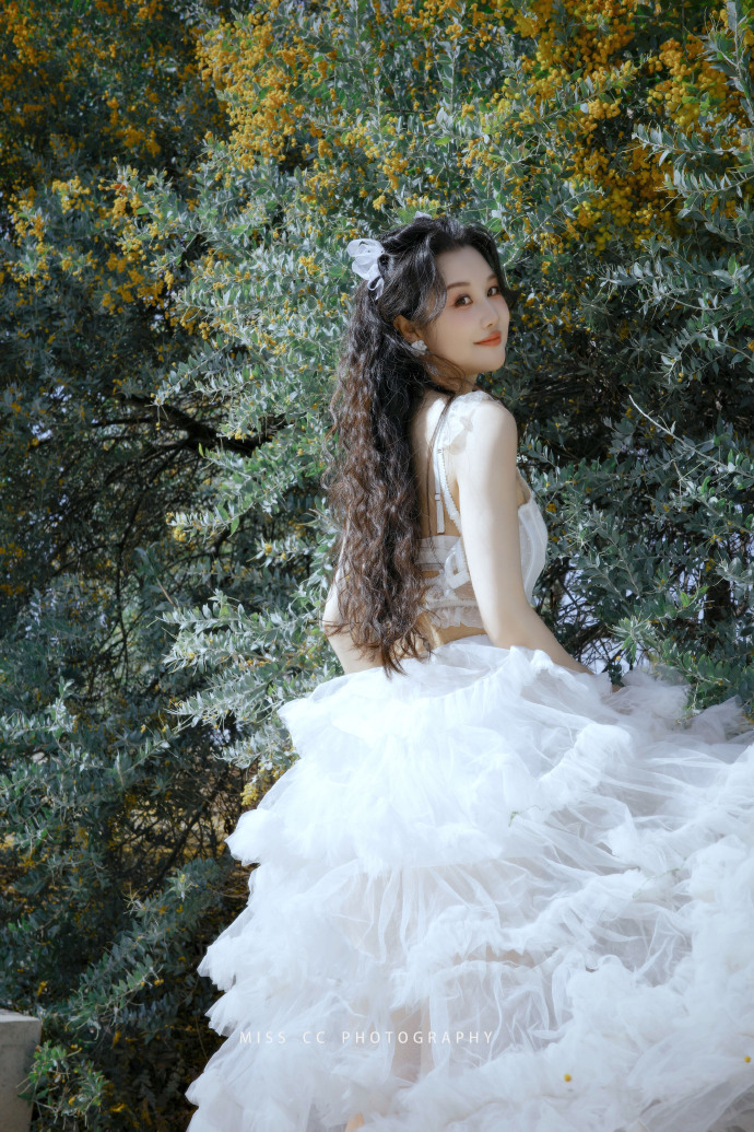 蜘蛛池是否能配合低频爬虫同步策略