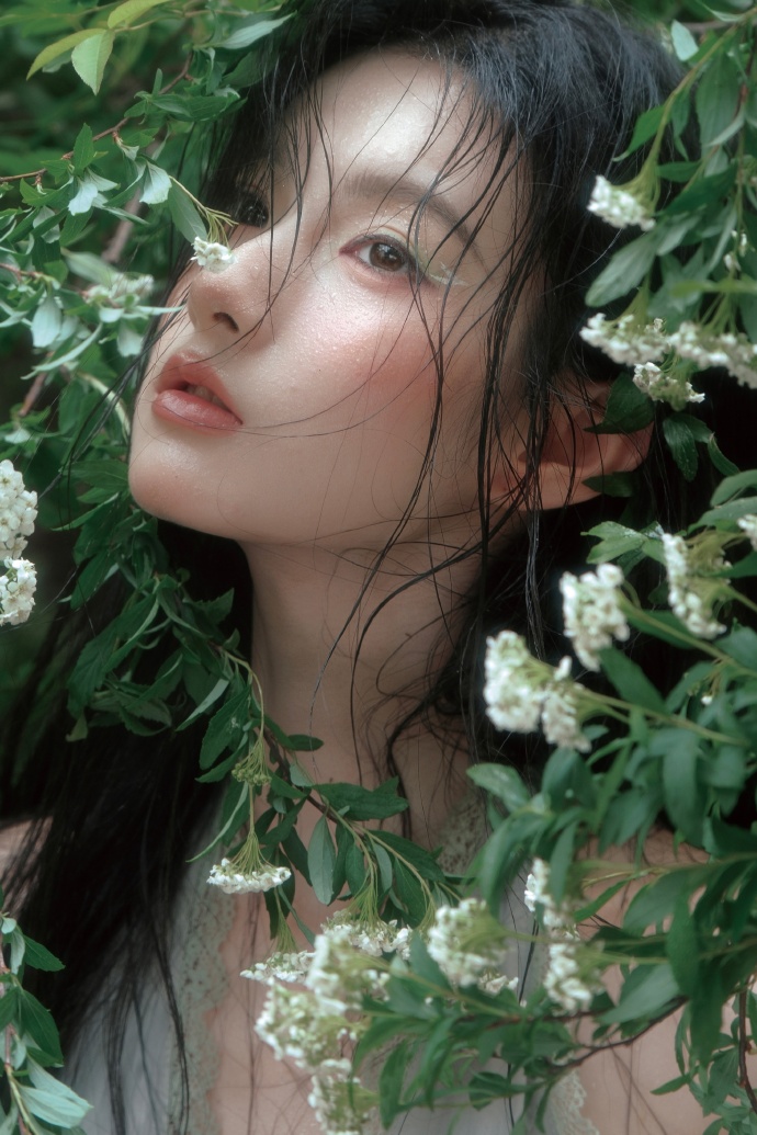 网站降权后，蜘蛛池还能用吗？